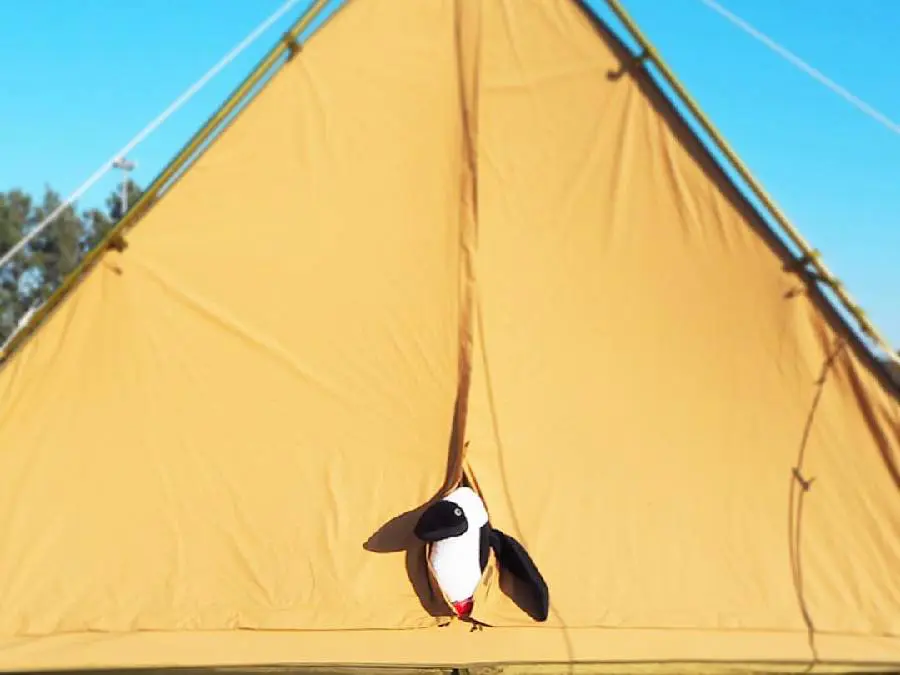 チャムスのテントはキャンプ場の華！チャムスの魅力を余すことなく紹介 