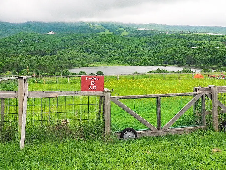 無印カンパーニャ嬬恋キャンプ場（群馬県）