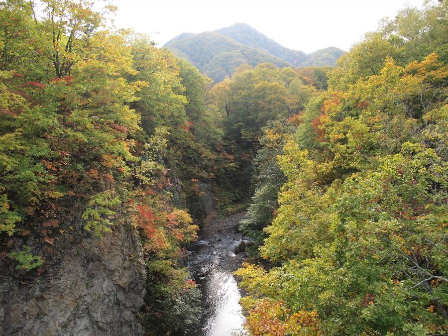 札幌市定山渓自然の村