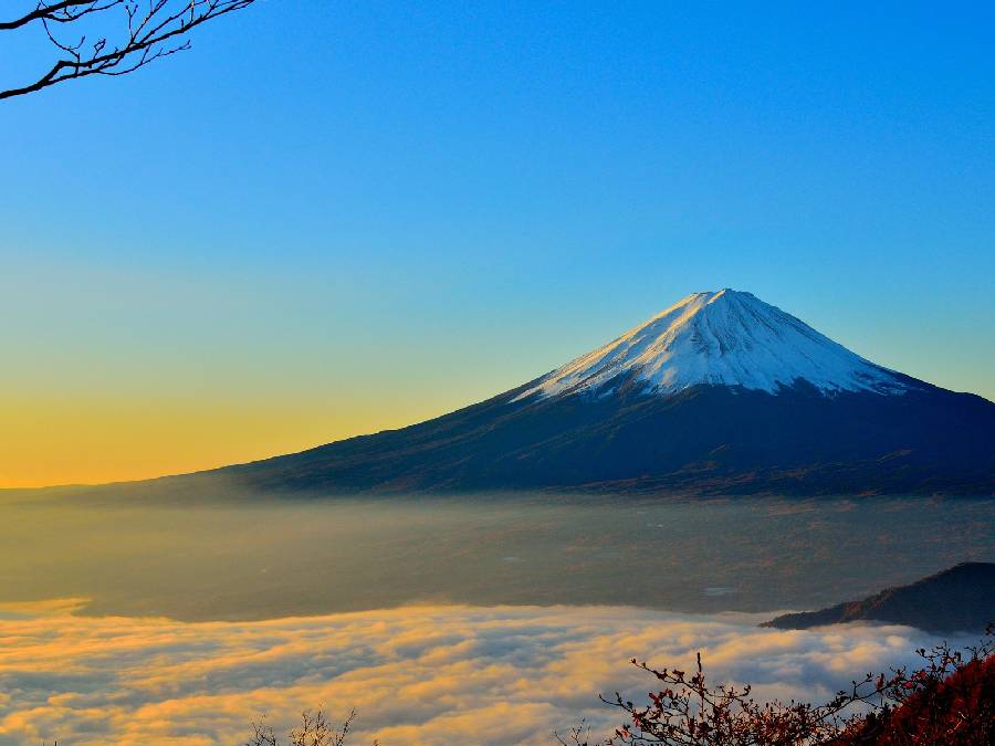 場 富士山 キャンプ