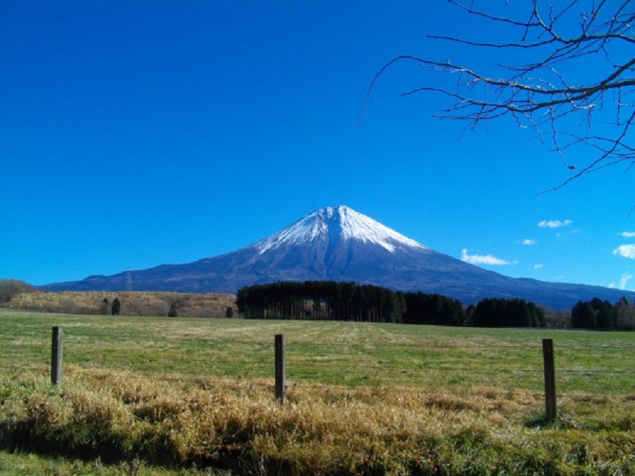 富士山