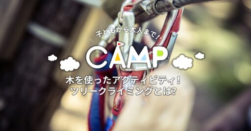 木を使ったアクティビティ!ツリークライミングとは?
