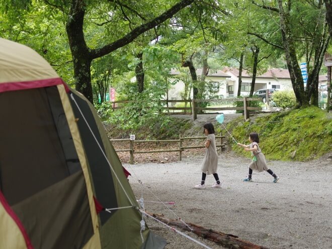 昆虫の観察