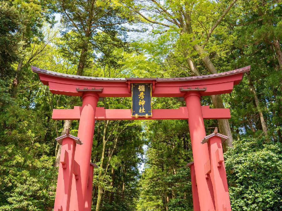 弥彦神社