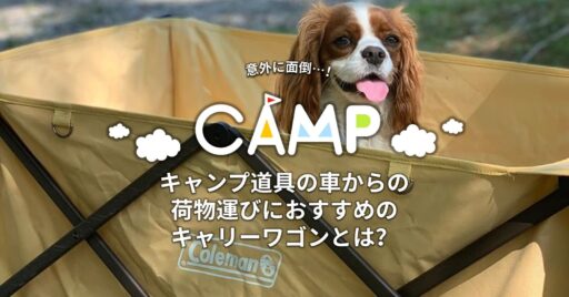 意外に面倒?!キャンプ道具の車からの荷物運びにおすすめのキャリーワゴンとは?