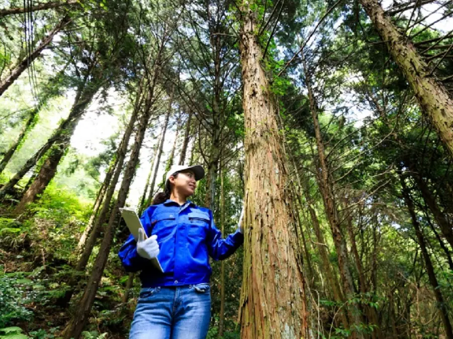 コスパ抜群！ワークマンのアイテムでアウトドアをしてみませんか