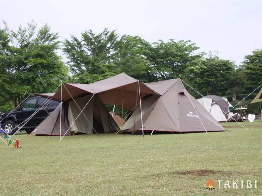 二又ポール&跳ね上げポール付き】ランドステーションL アイボリー 二又付き