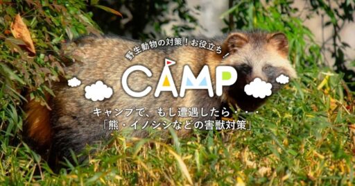 キャンプで、もし遭遇したら・・・「熊・イノシシなどの害獣対策」