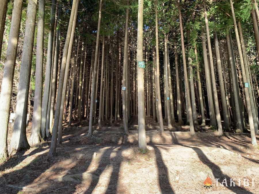 山梨　四尾連湖キャンプ場