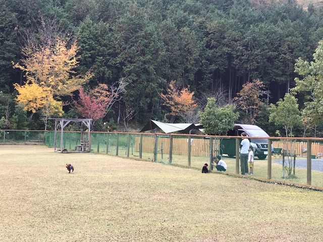 京都,スチールの森京都,キャンプ場