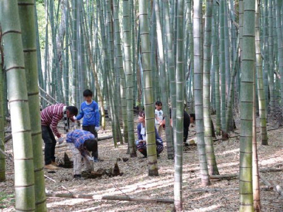 宮原オートキャンプ場（千葉）