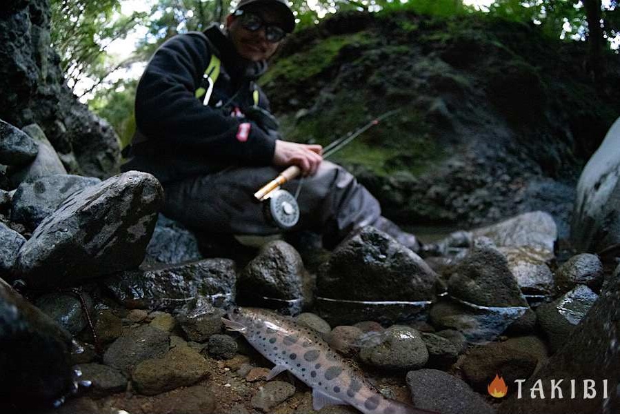 伊豆半島　渓流　フィッシング