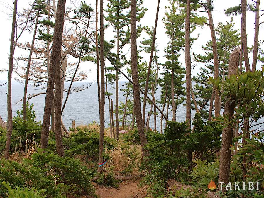 宮城県　気仙沼市　御崎野営場