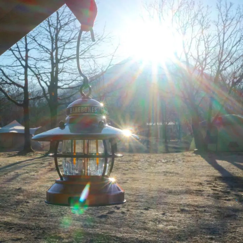 おしゃれサイトに欠かせない「ベアボーンズリビング」から目が離せない