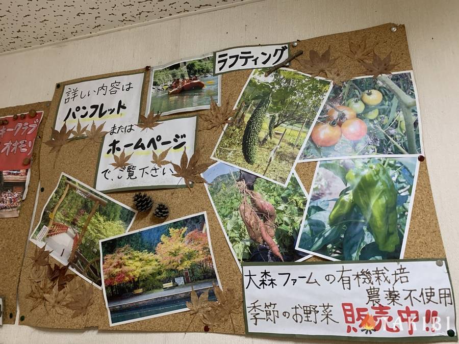 【京都府】ファミリーや団体におすすめ！遊びと設備が充実の大森リゾートキャンプ場