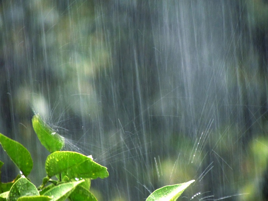 梅雨の季節に持っていると安心！防水アイテムをご紹介