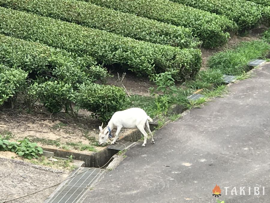 【南山城村自然の家】 大人の遊び場 ドラム缶風呂＆テントサウナ体験