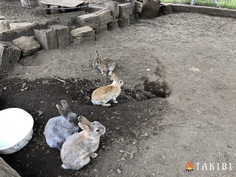 【北海道中富良野町】　星に手のとどく丘キャンプ場