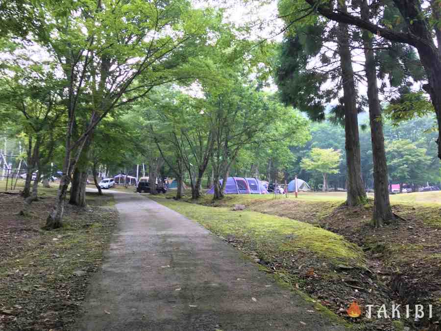 【兵庫】 白樺でハンモック スキー場で涼しいキャンプ CHIKUSA Mountain Village