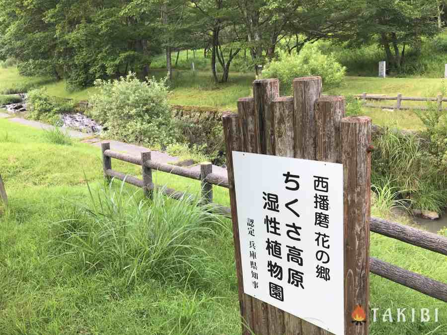 【兵庫】 白樺でハンモック スキー場で涼しいキャンプ CHIKUSA Mountain Village