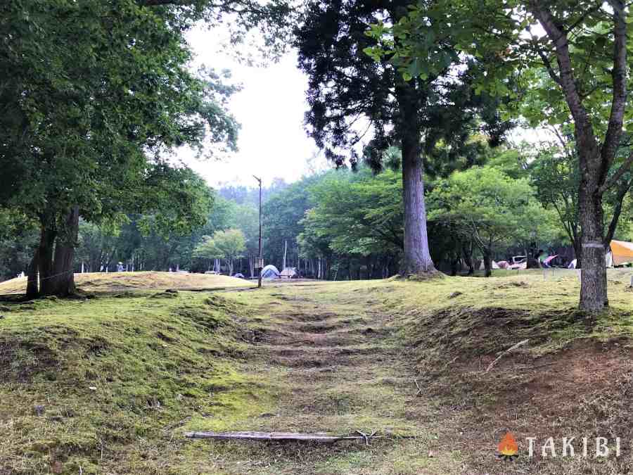 【兵庫】 白樺でハンモック スキー場で涼しいキャンプ CHIKUSA Mountain Village