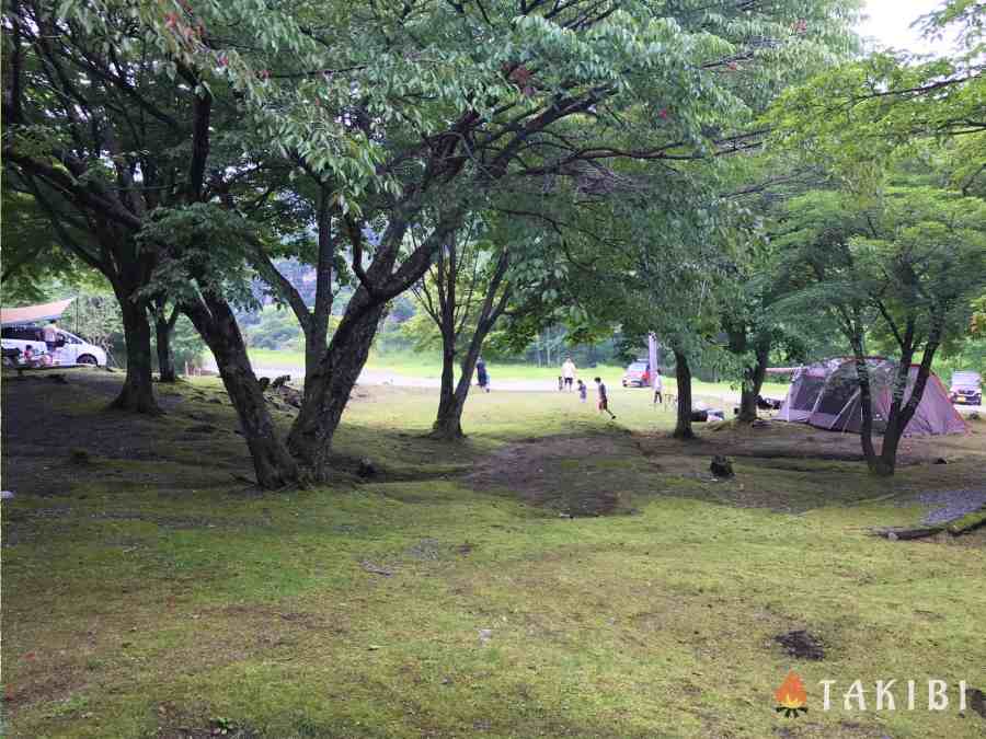 【兵庫】 白樺でハンモック スキー場で涼しいキャンプ CHIKUSA Mountain Village