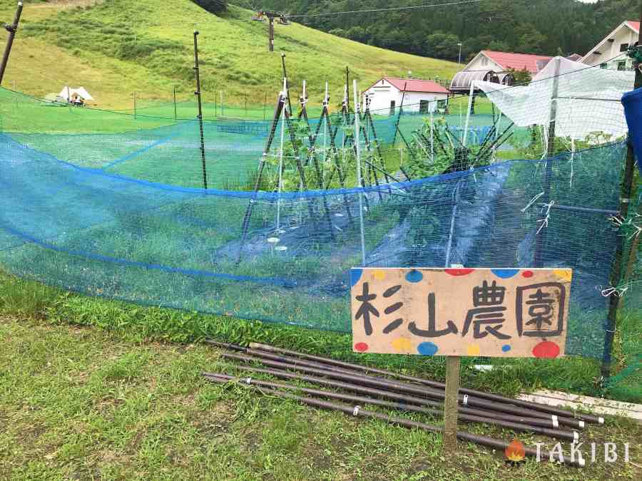 【兵庫】 白樺でハンモック スキー場で涼しいキャンプ CHIKUSA Mountain Village