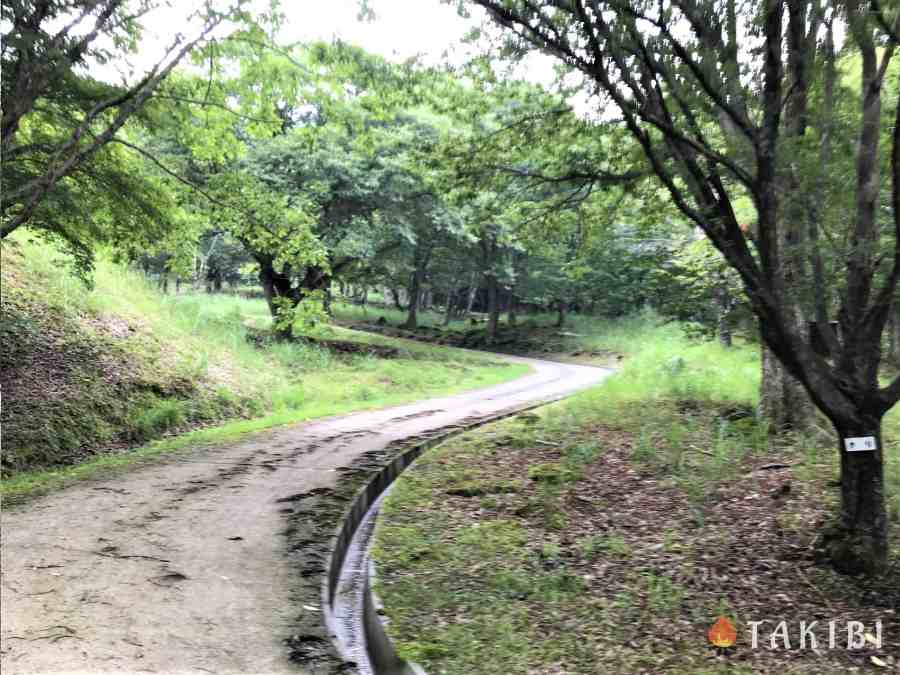 【兵庫】 白樺でハンモック スキー場で涼しいキャンプ CHIKUSA Mountain Village