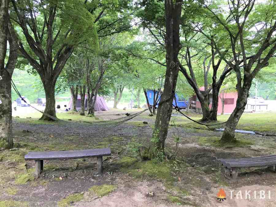 【兵庫】 白樺でハンモック スキー場で涼しいキャンプ CHIKUSA Mountain Village