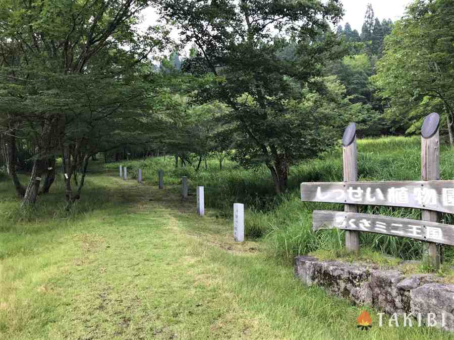 【兵庫】 白樺でハンモック スキー場で涼しいキャンプ CHIKUSA Mountain Village