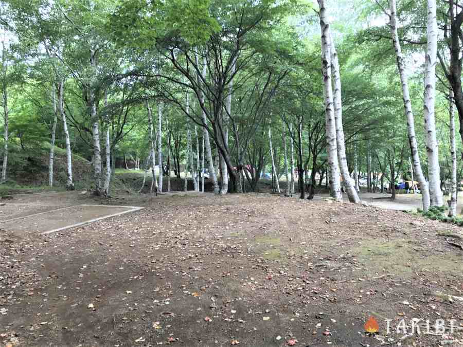 【兵庫】 白樺でハンモック スキー場で涼しいキャンプ CHIKUSA Mountain Village