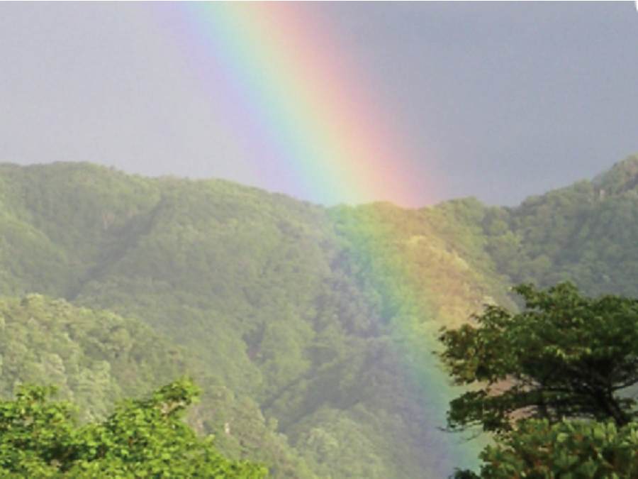 1.わらび平森林公園キャンプ場（群馬県）