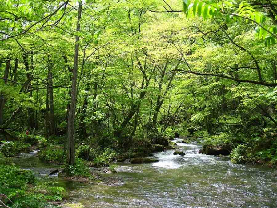 ペンギン村オートキャンプ場（静岡県）