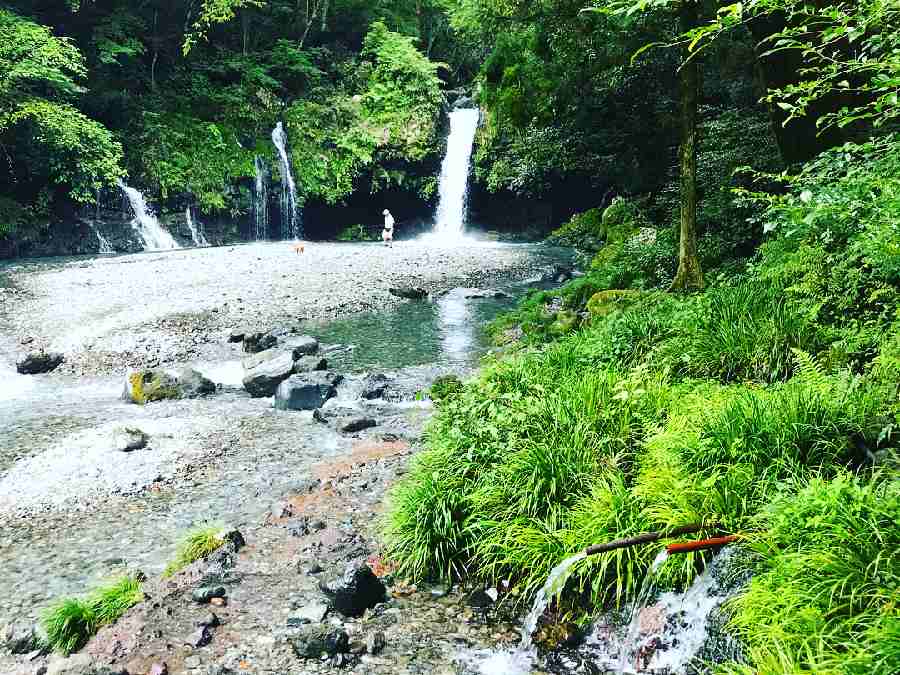 ペンギン村オートキャンプ場（静岡県）