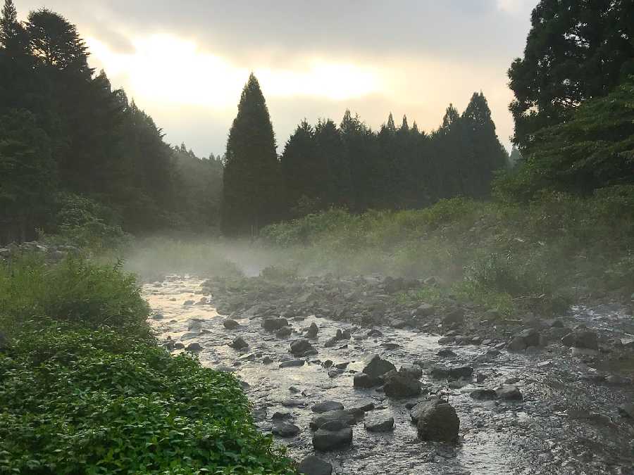 ペンギン村オートキャンプ場（静岡県）