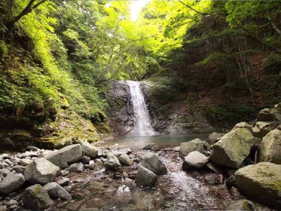 西丹沢大滝キャンプ場（神奈川県）