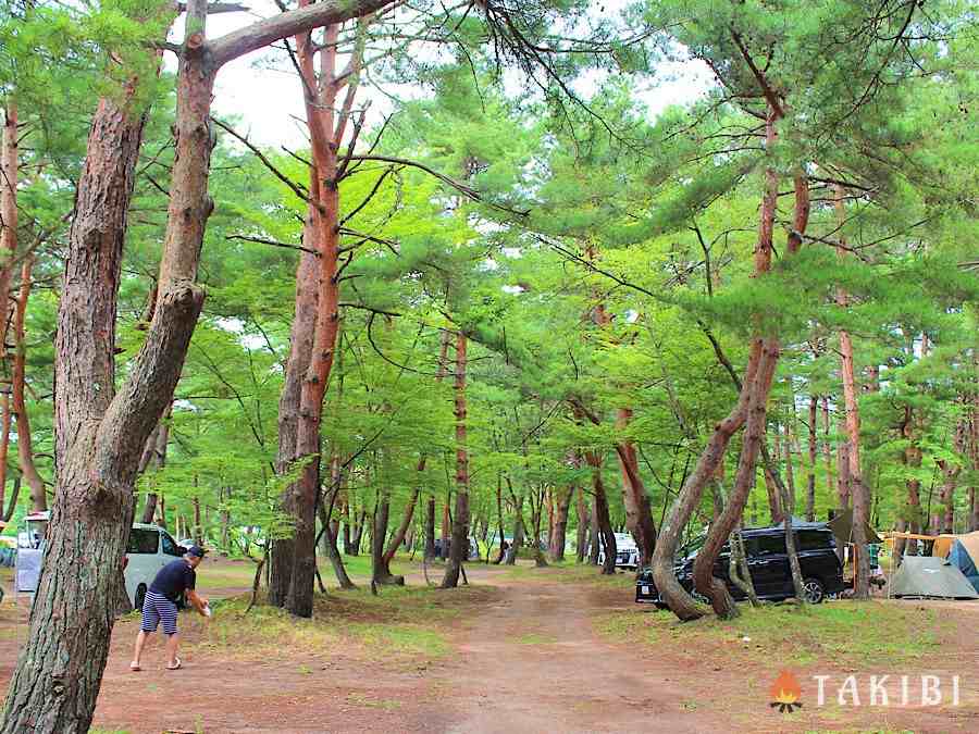 【福島県猪苗代町】湖畔で涼しくキャンプ～天神浜オートキャンプ場～