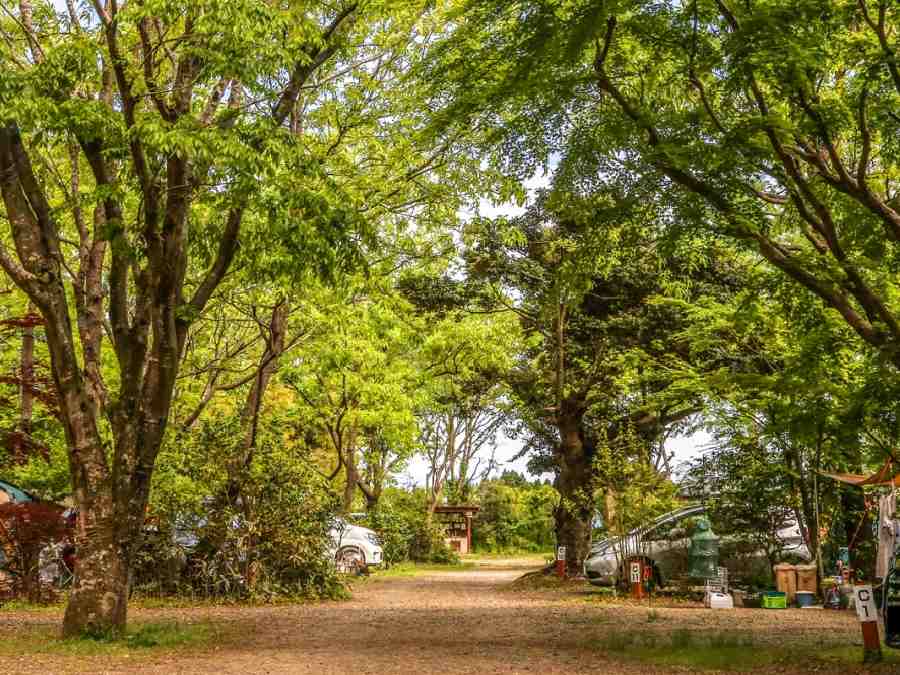 3.有野実苑オートキャンプ場（千葉県）