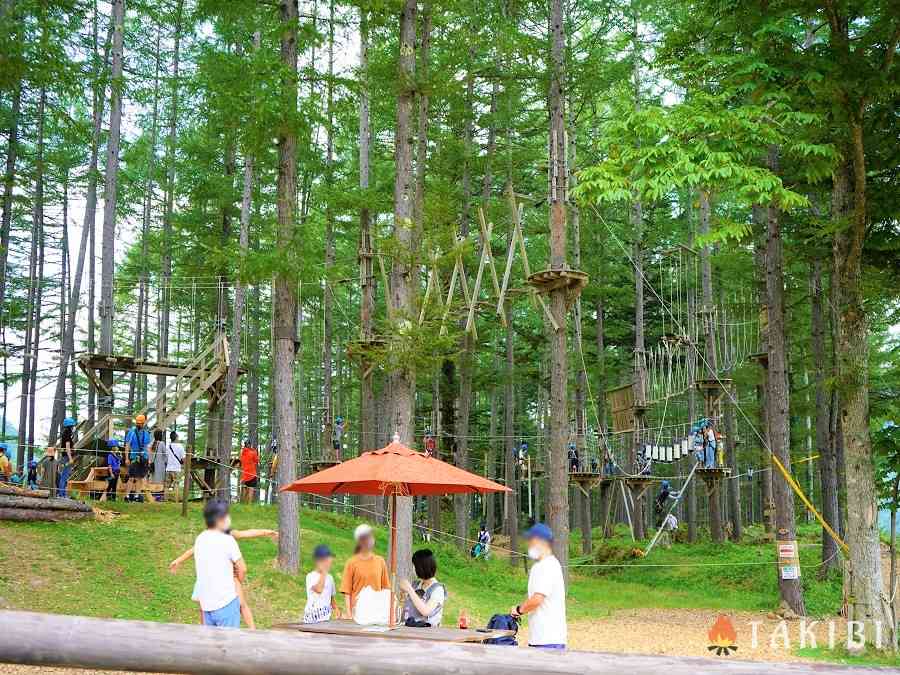 「ツリーアドベンチャー」,丸沼高原オートキャンプ場,群馬県