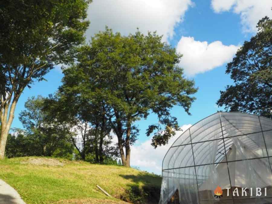 熊本県, 吉原ごんべえ村キャンプ場