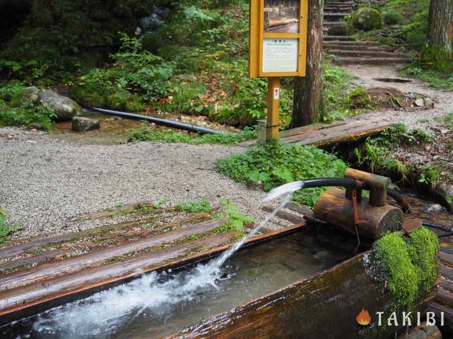 阿寺渓谷キャンプ場湧き水