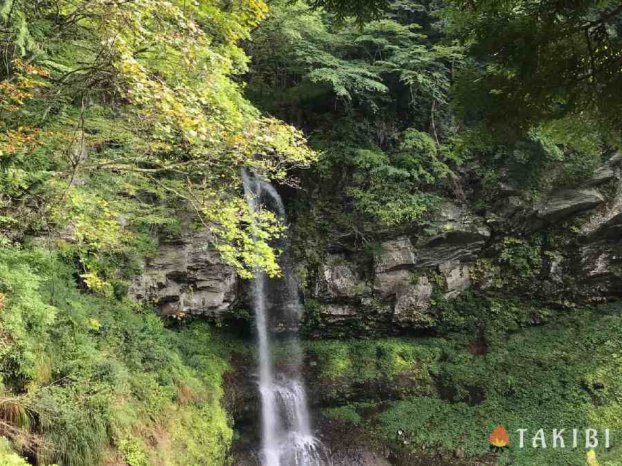 宝台樹キャンプ場滝