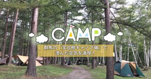 【群馬県】白樺に囲まれた自然いっぱいの「水上宝台樹キャンプ場」