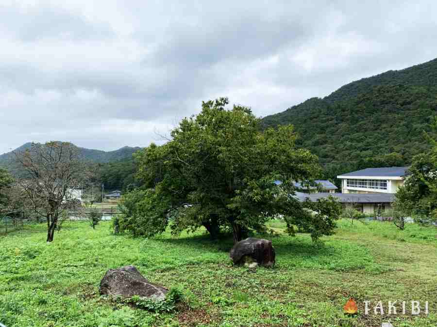 中畑林間ファミリー園木