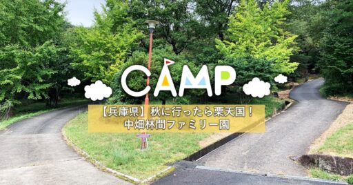 【兵庫県】秋に行きたい!中畑林間ファミリー園は格安で栗が手に入る