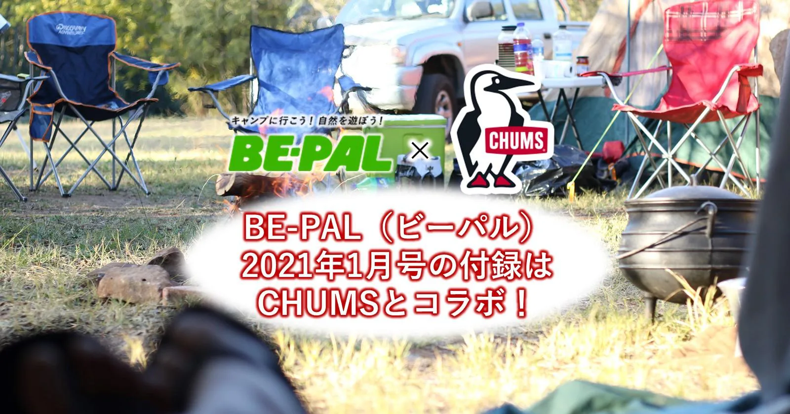 BE-PAL（ビーパル）2021年1月号の付録はCHUMSとコラボ