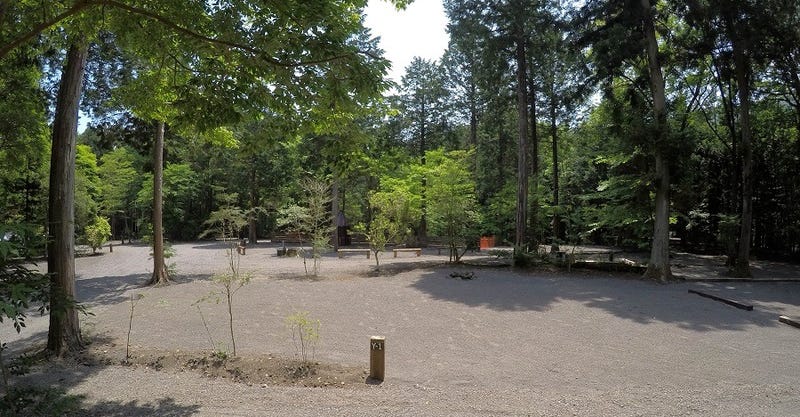 Foresters Village Kobitto Asagiri Camp Field　（旧 猪の頭オートキャンプ場）,静岡県,サイトの様子