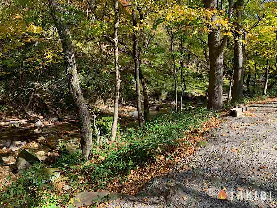 聖ヶ岩ふるさとの森川