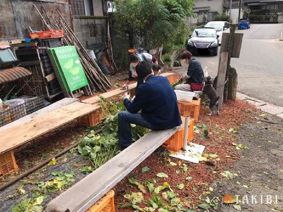 丹波篠山ひなたファームキャンプ場豆