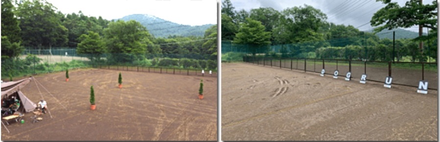 東照館 オートキャンプ山中湖,山梨県、サイトの様子